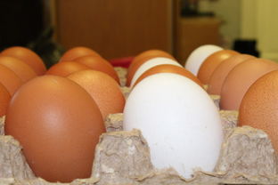 收人工代怀孕妈尿有什么用